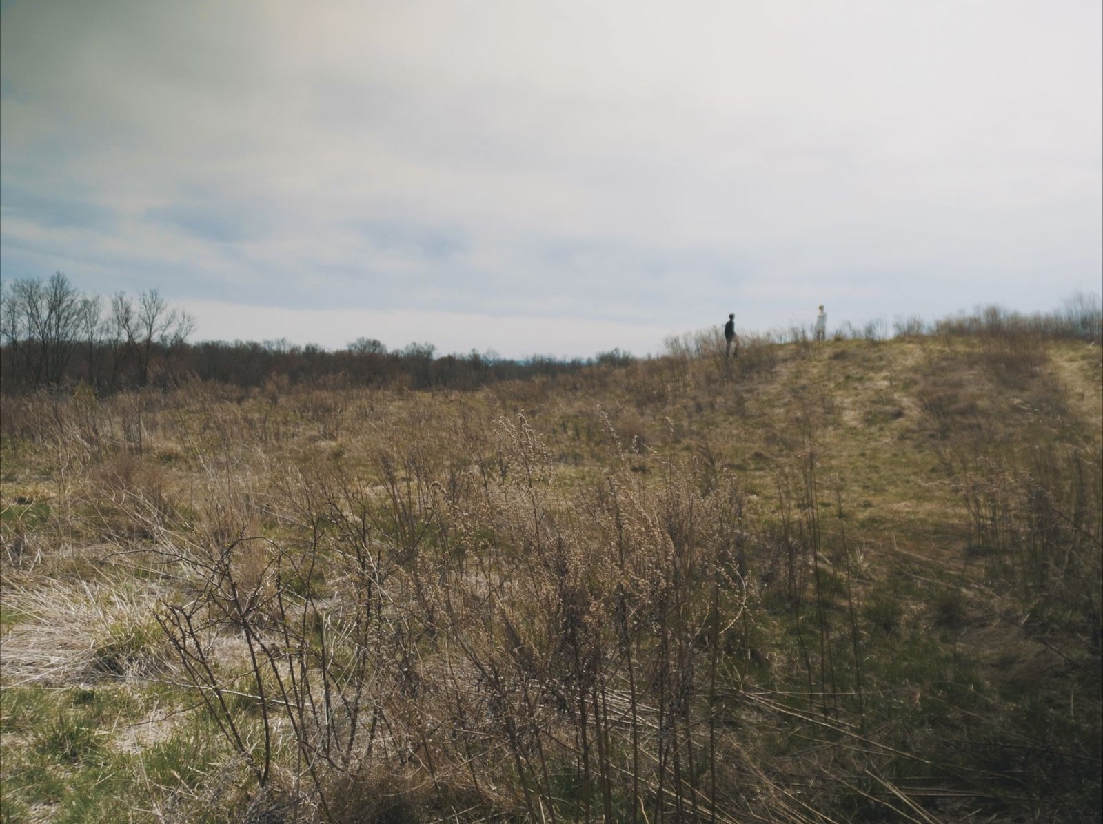 Still from Dream Life
